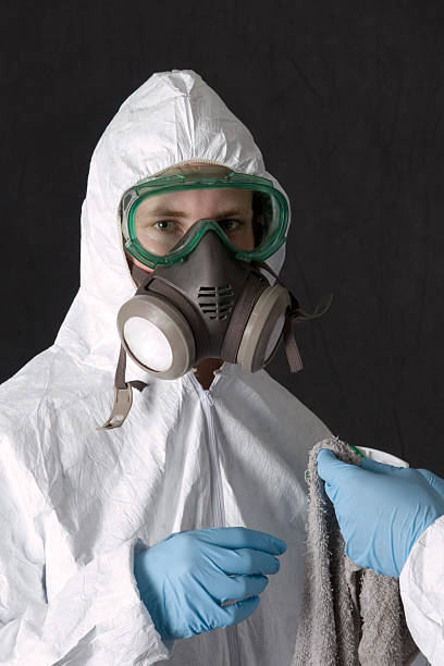 Best Post-Remediation Verification Testing  in Romeo, MI